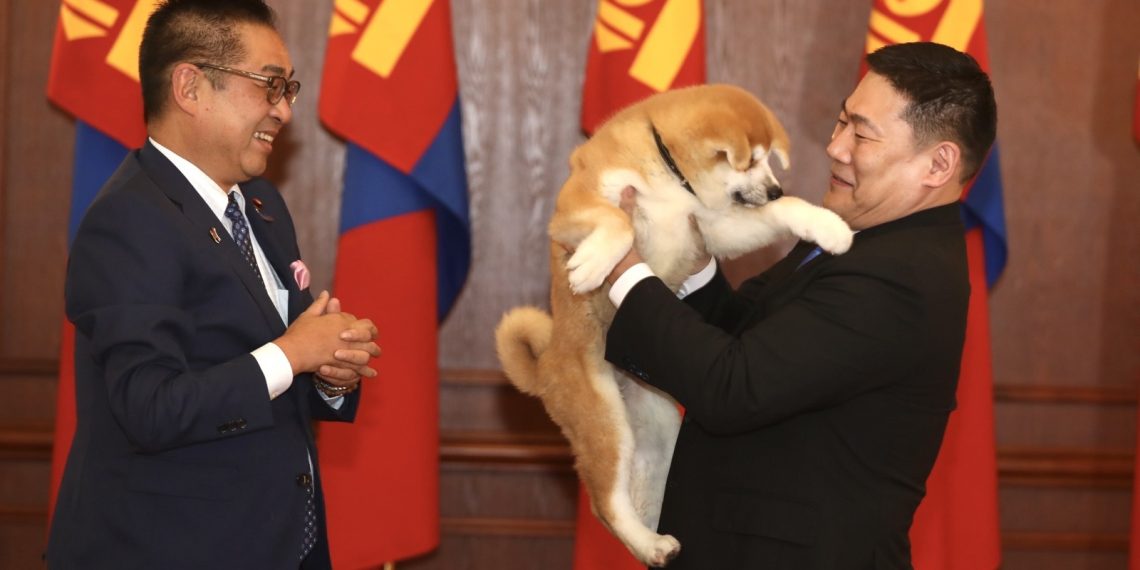 Ерөнхий сайд Л.Оюун-Эрдэнэ Япон Улсын Ерөнхий сайд асан Ё.Сүгагийн бэлэг Акита үүлдрийн нохойг хүлээн авлаа