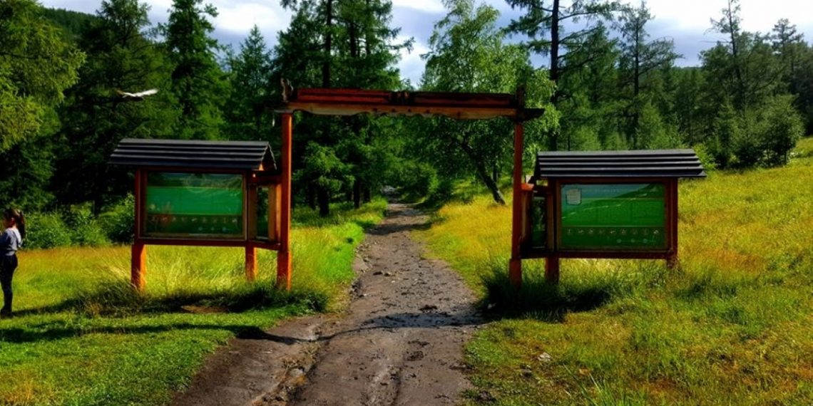 ЭЦА: Богд ууланд гадаадууд зулзган мод тайрч байшин барьж байна гэх мэдээлэл худал