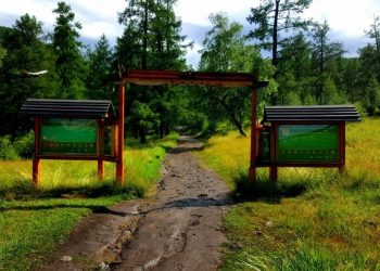 ЭЦА: Богд ууланд гадаадууд зулзган мод тайрч байшин барьж байна гэх мэдээлэл худал