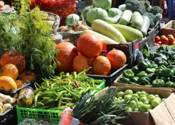 “Алтан намар 2023” хүнсний ногооны өргөтгөсөн худалдаа 23 байршилд гарлаа