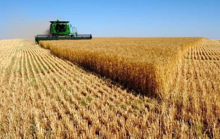 Улаанбуудай, төмсний хэрэгцээг 100 хувь, хүнсний ногооны 81.3 хувийг дотоодын ургацаар хангана