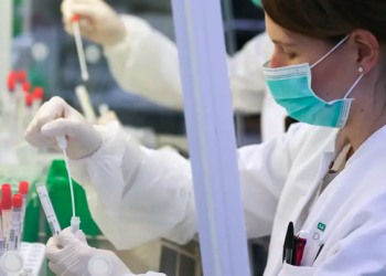 Германд коронавирусний “Пирола” хувилбар илэрчээ