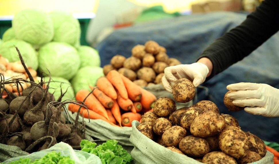 Хүнсний ногооны ургац хураалт 40.1 хувьтай байна