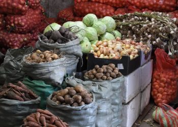 Тариалсан хүнсний ногооныхоо тал хувийг хурааж аваад байна