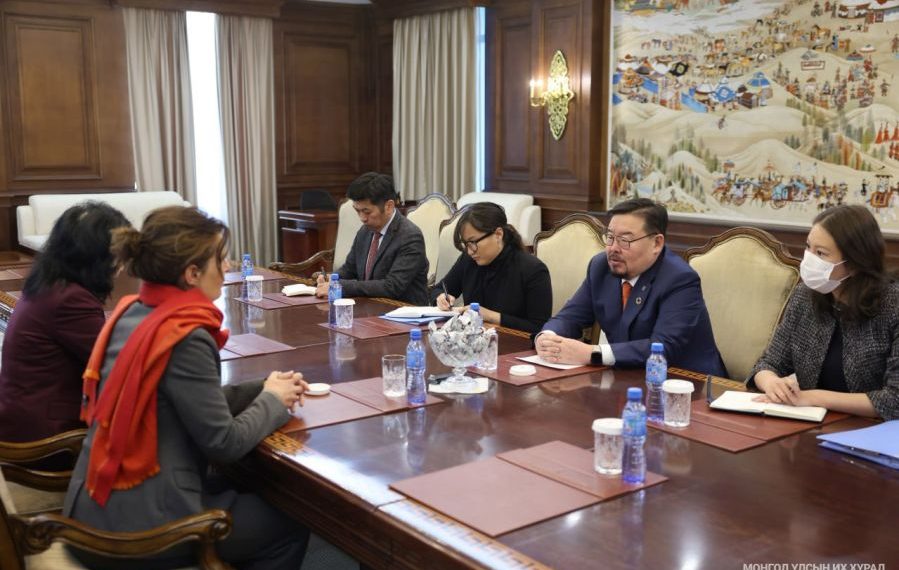 УИХ-ын дарга Г.Занданшатар шинээр томилогдсон Суурин төлөөлөгч Др. Штефани Ханкег хүлээн авч уулзав