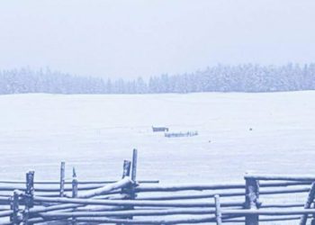 Цасан шуурганаар амиа алдсан малчдын ар гэрт таван сая төгрөгийн дэмжлэг олгоно