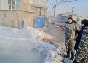 Зарим дүүрэгт халиа, дошин үүсэх эрсдэл өндөр байна