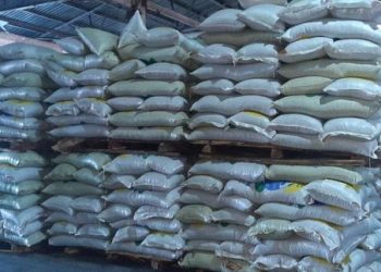 Малчдад улсын нөөцөөс тэжээл 50 хувь хямдруулж олгоно