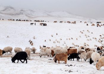Байгаль, цаг уурын өөрчлөлтөөс шалтгаалсан сөрөг нөлөөллийг бууруулах тухай хуулийн төслийг хэлэлцлээ