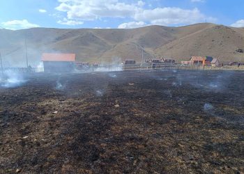 Шар өвс шатааж, гал алдсан иргэдэд хариуцлага тооцож байна