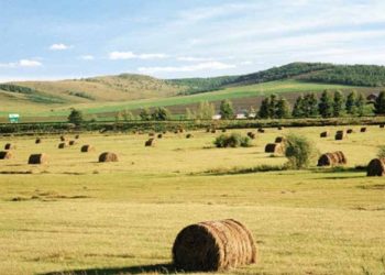 Хөдөө аж ахуйн салбарын 2024-2025 оны өвөлжилт, хаваржилтын бэлтгэл хангах Засгийн газрын тогтоолыг батлав