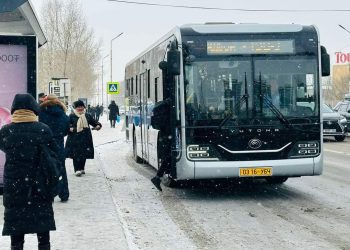 Автобусанд 1000 төгрөг төлж, өдөрт цагийн хязгааргүй дөрвөн удаа зорчино