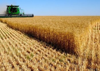 “Атар-4 тариалангийн тогтвортой хөгжлийн аян”-ыг ирэх сарын 01-нээс эхлүүлнэ