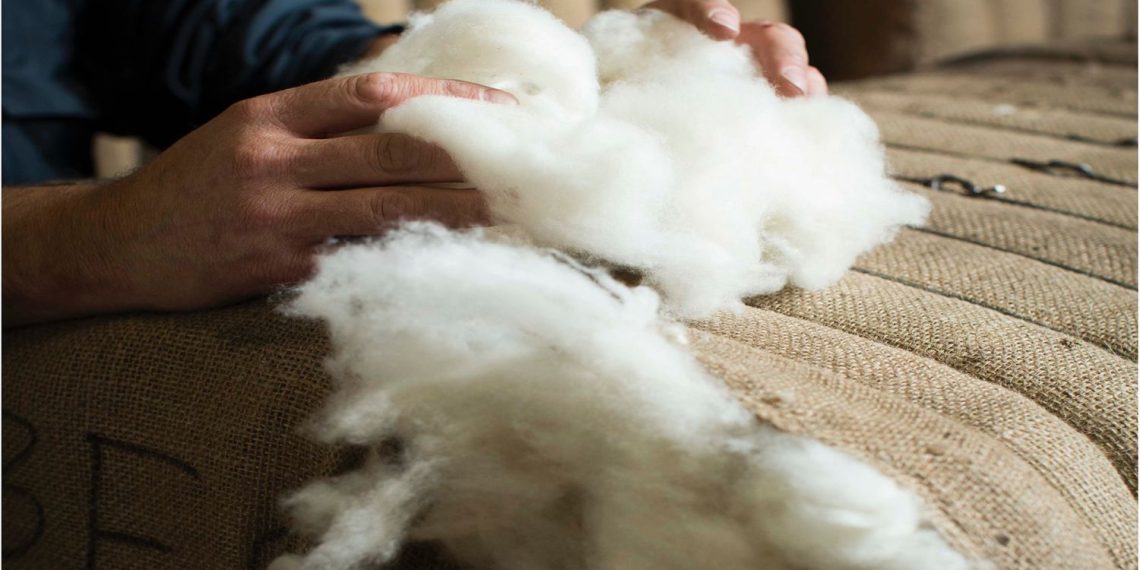 Ноолуур бэлтгэлийн явц, зах зээлийн өнөөгийн байдлын талаар танилцуулав