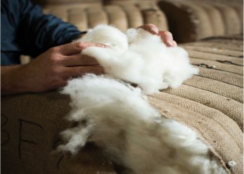 Ноолуур бэлтгэлийн явц, зах зээлийн өнөөгийн байдлын талаар танилцуулав