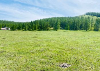 2025 онд улсын хэмжээнд 8702 иргэнд 961.6 га газрыг өмчлүүлнэ