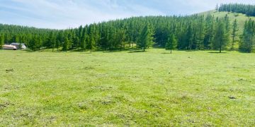 2025 онд улсын хэмжээнд 8702 иргэнд 961.6 га газрыг өмчлүүлнэ