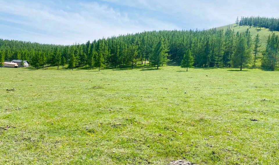 2025 онд улсын хэмжээнд 8702 иргэнд 961.6 га газрыг өмчлүүлнэ