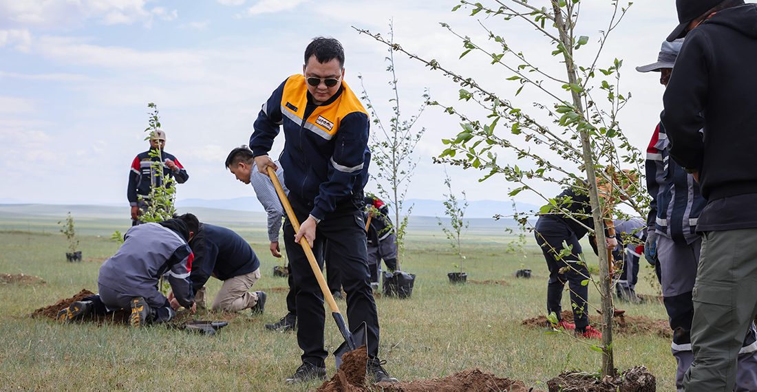 “Эрдэнэс Тавантолгой” ХК Хархорум хотын 410 га талбайд 300 мянган мод тарина