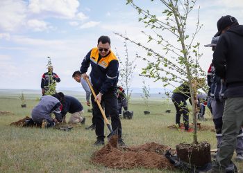 “Эрдэнэс Тавантолгой” ХК Хархорум хотын 410 га талбайд 300 мянган мод тарина