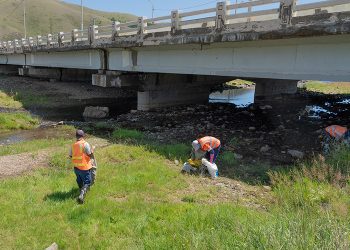 Майхан толгойгоос Дамбын пост хүртэлх гол дагуу үүссэн хогийг цэвэрлэж байна