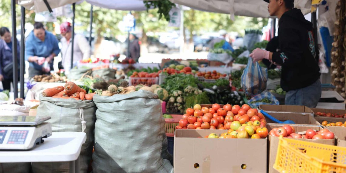 “Намрын ногоон өдрүүд-2025” өргөтгөсөн худалдаа энэ сарын 28-ны өдөр хүртэл үргэлжилнэ