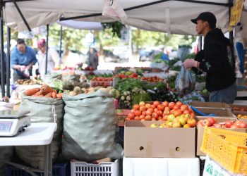 “Намрын ногоон өдрүүд-2025” өргөтгөсөн худалдаа энэ сарын 28-ны өдөр хүртэл үргэлжилнэ