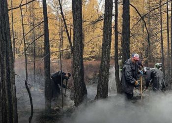 “Моностойн-Эх” гэдэг газар гарсан ойн түймрийг бүрэн унтраалаа