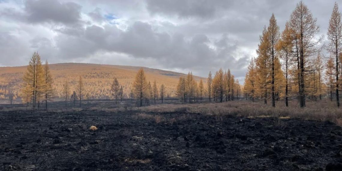 Ой, хээрийн 4 түймрийг бүрэн унтрааж, 2 түймрийг унтраахаар ажиллаж байна