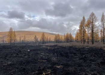 Ой, хээрийн 4 түймрийг бүрэн унтрааж, 2 түймрийг унтраахаар ажиллаж байна