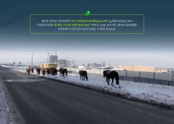 Мал аж ахуй эрхлэхийг хориглосон бүсээс малаа гаргаагүй иргэн, ААН-ыг Зөрчлийн тухай хуулиар торгох зохицуулалттай