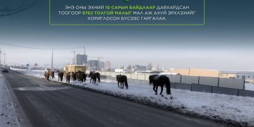 Мал аж ахуй эрхлэхийг хориглосон бүсээс малаа гаргаагүй иргэн, ААН-ыг Зөрчлийн тухай хуулиар торгох зохицуулалттай