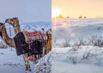 Саудын Арабад цас оржээ