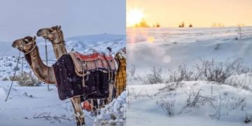 Саудын Арабад цас оржээ