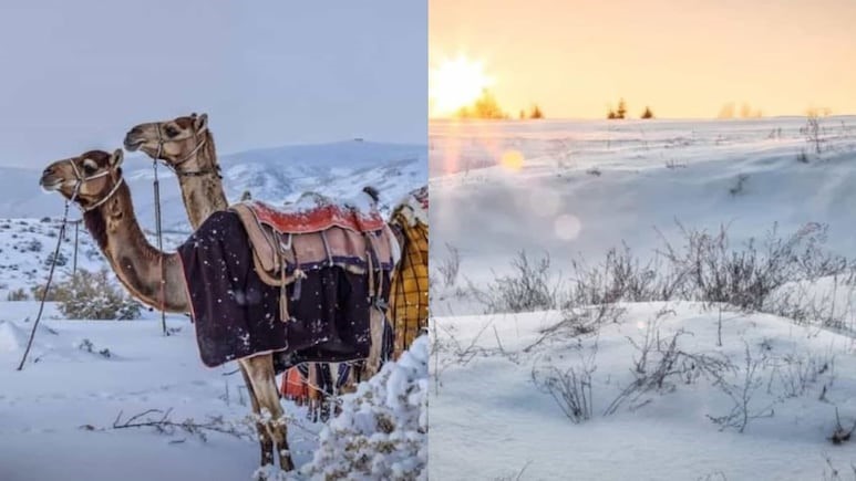 Саудын Арабад цас оржээ