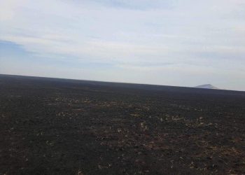 Дорнод, Хэнтий аймагт бүртгэгдсэн хээрийн 3 түймрийг бүрэн унтраалаа