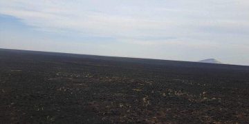 Дорнод, Хэнтий аймагт бүртгэгдсэн хээрийн 3 түймрийг бүрэн унтраалаа