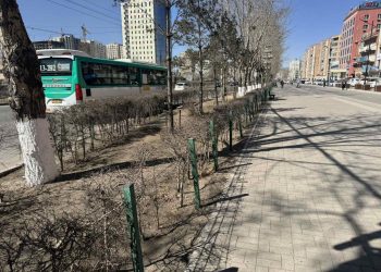 Нийтийн эзэмшлийн зам, талбай, ногоон байгууламжийг арчилж, цэвэрлэж байна