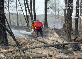 Өнгөрөгч 7 хоногт 8 удаагийн ой, хээрийн гал түймрийг унтраалаа