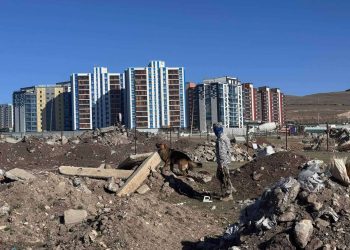 Хойд бүсийн аврагч- нохой хөтлөгчийн давтан сургалтыг зохион байгууллаа