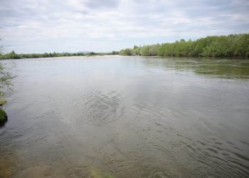311 алба хаагч, 119 техник хэрэгсэлтэй ажиллаж үер усны аюул, болзошгүй эрсдэлээс сэргийлж байна