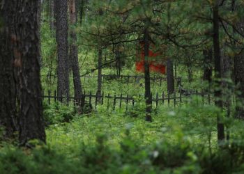 Орц, гарц, ойн зурвас хаасан 407 нэгж талбарын газрын зөвшөөрлийг цуцаллаа