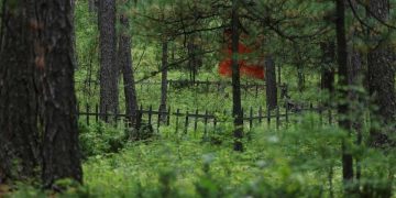 Орц, гарц, ойн зурвас хаасан 407 нэгж талбарын газрын зөвшөөрлийг цуцаллаа