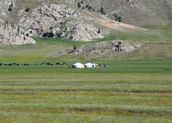 Нийт нутгийн 50 гаруй хувьд бэлчээрийн ургамлын ургалт сайн байна