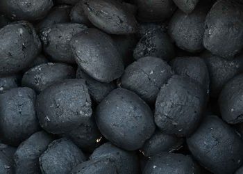 Шахмал түлшийг маргаашаас 446 цэгээр худалдаалж эхэлнэ