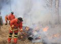 Булган аймагт бүртгэгдсэн ойн түймрийг бүрэн унтраалаа