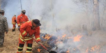 Булган аймагт бүртгэгдсэн ойн түймрийг бүрэн унтраалаа