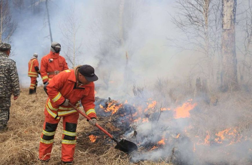 Булган аймагт бүртгэгдсэн ойн түймрийг бүрэн унтраалаа