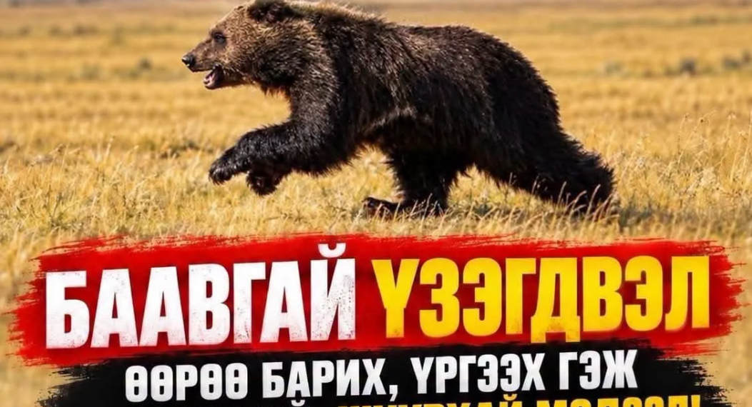 Явган алхагч, аялагчдын анхааралд