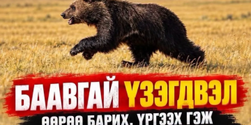 Явган алхагч, аялагчдын анхааралд